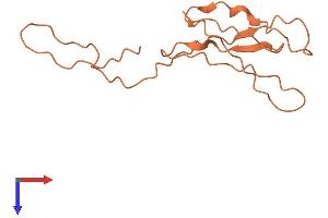 AlphaFold protein structure predicition of Human Recombinant KRTAP2-3 Protein, UniprotID P0C7H8