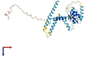 AlphaFold protein structure predicition of Mouse Recombinant Rnf170 Protein, UniprotID Q8CBG9
