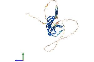 AlphaFold protein structure predicition of Mouse Recombinant Rad52 Protein, UniprotID P43352