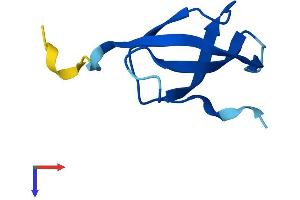 AlphaFold protein structure predicition of Mouse Recombinant Rps28 Protein, UniprotID P62858
