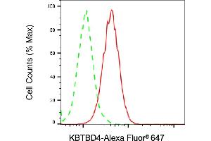 Flow cytometric analysis of KBTBD4 expression in HAP-1 cells using KBTBD4 antibody (ABIN7799160), 1:2,000). (KBTBD4 anticorps)
