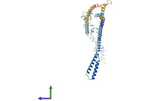 AlphaFold protein structure predicition of Human Recombinant TRIM13 Protein, UniprotID O60858