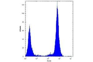 TLR4 antibody flow cytometric analysis of U251 cells (right histogram) compared to a negative control (left histogram).