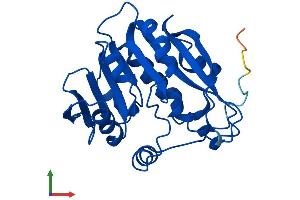 AlphaFold protein structure predicition of Mouse Recombinant Tpmt Protein, UniprotID O55060