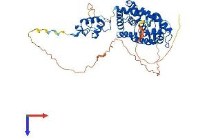 AlphaFold protein structure predicition of Mouse Recombinant Rarg Protein, UniprotID P18911