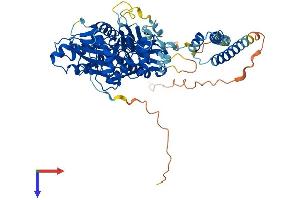 AlphaFold protein structure predicition of Mouse Recombinant Actr5 Protein, UniprotID Q80US4