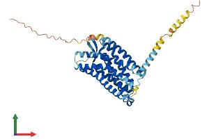 AlphaFold protein structure predicition of Mouse Recombinant Ccr8 Protein, UniprotID P56484