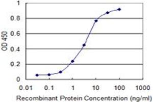 ELISA image for anti-RAD23 Homolog B (RAD23B) (AA 311-410) antibody (ABIN599426) (RAD23B anticorps  (AA 311-410))