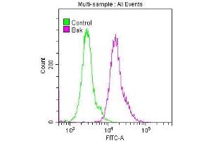 Overlay histogram showing Hela cells stained with ABIN7127362 (red line) at 1:50. (Recombinant BAK1 anticorps)