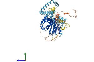 AlphaFold protein structure predicition of Human Recombinant PNPLA3 Protein, UniprotID Q9NST1