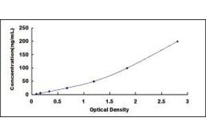 Typical standard curve