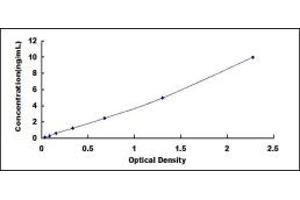 Typical standard curve (LMO7 Kit ELISA)