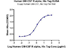ELISA image for Colony Stimulating Factor 2 Receptor, Alpha, Low-Affinity (Granulocyte-Macrophage) (CSF2RA) (AA 23-320) protein (His tag) (ABIN7274781)