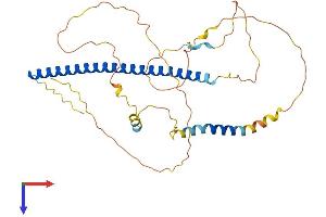 AlphaFold protein structure predicition of Human Recombinant JUND Protein, UniprotID P17535