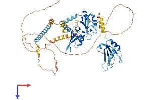 AlphaFold protein structure predicition of Mouse Recombinant Puf60 Protein, UniprotID Q3UEB3