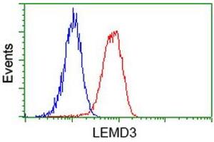 Flow cytometric Analysis of Hela cells, using anti-LEMD3 antibody (ABIN2453808), (Red), compared to a nonspecific negative control antibody, (Blue). (LEMD3 anticorps)