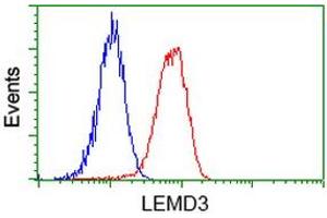 Flow cytometric Analysis of Hela cells, using anti-LEMD3 antibody (ABIN2453808), (Red), compared to a nonspecific negative control antibody, (Blue).