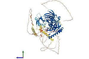 AlphaFold protein structure predicition of Mouse Recombinant Osbpl8 Protein, UniprotID B9EJ86