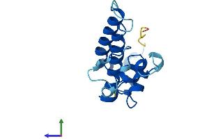 AlphaFold protein structure predicition of Human Recombinant BUD31 Protein, UniprotID P41223
