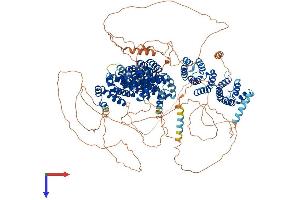 AlphaFold protein structure predicition of Mouse Recombinant Clasp2 Protein, UniprotID Q8BRT1