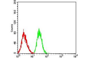 Flow cytometric analysis of HL-60 cells using LILRB2 mouse mAb (green) and negative control (red).