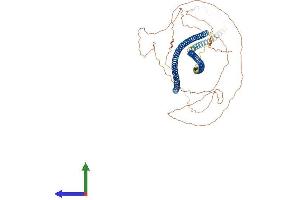 AlphaFold protein structure predicition of Human Recombinant KRT76 Protein, UniprotID Q01546