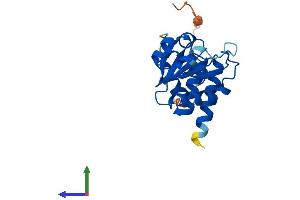 AlphaFold protein structure predicition of Mouse Recombinant Dusp26 Protein, UniprotID Q9D700
