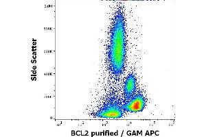 Flow cytometry intracellular staining pattern of human peripheral whole blood stained using anti-human BCL-2 (Bcl-2/100) purified antibody (concentration in sample 1 μg/mL, GAM APC).