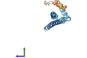 AlphaFold protein structure predicition of Human Recombinant WHAMMP3 Protein, UniprotID Q1A5X7