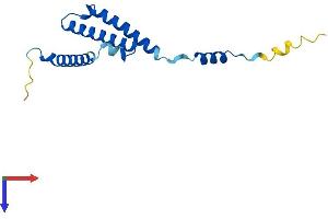 AlphaFold protein structure predicition of Human Recombinant C1D Protein, UniprotID Q13901
