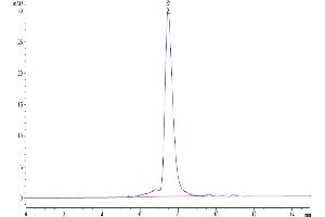 The purity of Mouse TROP-2 is greater than 95 % as determined by SEC-HPLC. (TACSTD2 Protein (His tag))