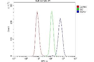 Flow Cytometry analysis of Raji cells using anti-Integrin alpha V/ITGAV antibody (ABIN7602397).