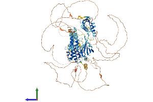 AlphaFold protein structure predicition of Mouse Recombinant Rps6kc1 Protein, UniprotID Q8BLK9
