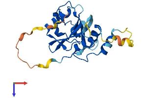 AlphaFold protein structure predicition of Human Recombinant JOSD1 Protein, UniprotID Q15040