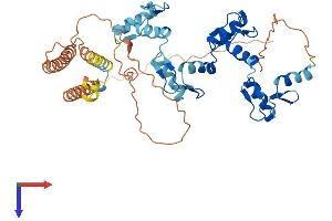 AlphaFold protein structure predicition of Human Recombinant ZNF3 Protein, UniprotID P17036