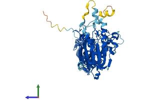 AlphaFold protein structure predicition of Mouse Recombinant Pold2 Protein, UniprotID O35654
