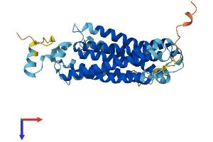 AlphaFold protein structure predicition of Mouse Recombinant Slc51a Protein, UniprotID Q8R000