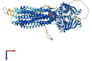 AlphaFold protein structure predicition of Mouse Recombinant Abcb1b Protein, UniprotID P06795