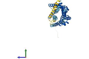 AlphaFold protein structure predicition of Mouse Recombinant Ghsr Protein, UniprotID Q99P50