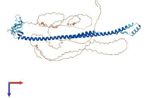 AlphaFold protein structure predicition of Mouse Recombinant Trim29 Protein, UniprotID Q8R2Q0