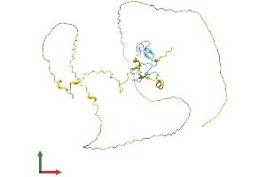 AlphaFold protein structure predicition of Human Recombinant ZRANB2 Protein, UniprotID O95218