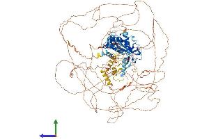 AlphaFold protein structure predicition of Mouse Recombinant Arid5b Protein, UniprotID Q8BM75