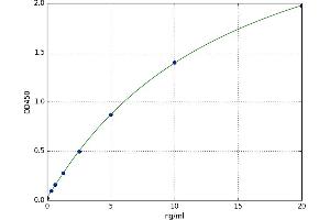 A typical standard curve