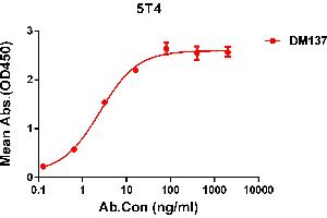 ELISA plate pre-coated by 1 μg/mL (100 μL/well) Human 5T4 protein, His tagged protein ((ABIN6964086, ABIN7042427 and ABIN7042428)) can bind Rabbit anti-5T4 monoclonal antibody(clone: DM137) in a linear range of 0. (TPBG anticorps  (AA 32-355))