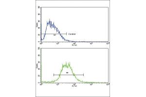 Flow Cytometry (FACS) image for anti-Interleukin 17 Receptor B (IL17RB) antibody (ABIN3002790) (IL17 Receptor B anticorps)
