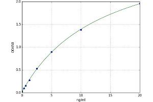 Arachidonate 12-Lipoxygenase (ALOX12) ELISA Kit