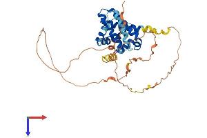 AlphaFold protein structure predicition of Human Recombinant MCL1 Protein, UniprotID Q07820
