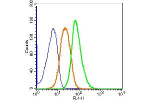 RSC96 cells probed with LAMP-1 Polyclonal Antibody, ALEXA FLUOR® 647 Conjugated (bs-1970R-A647) at 1:100 for 30 minutes compared to control cells (blue)and isotype control (orange).