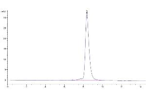 The purity of Biotinylated Human GUCY2C is greater than 95 % as determined by SEC-HPLC. (GUCY2C Protein (AA 24-430) (His-Avi Tag,Biotin))