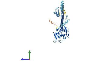 AlphaFold protein structure predicition of Human Recombinant TRIM50 Protein, UniprotID Q86XT4